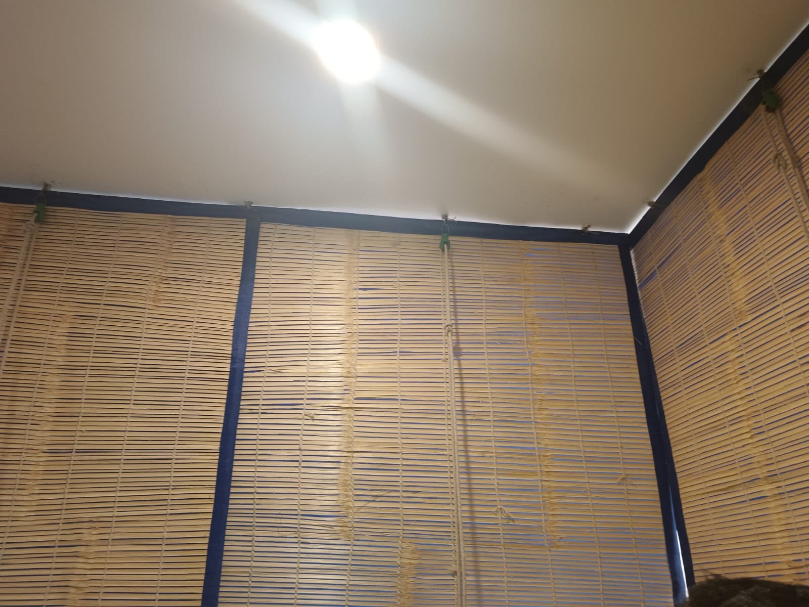 Bamboo Chick Maker Noida